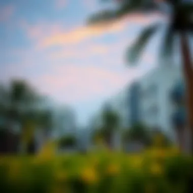 Magnificent Exploring Educational Institutions Near Damac Hills 2 Magnificent Exploring Educational Institutions Near Damac Hills 2