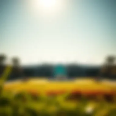 Magnificent Rashidiya Park: A Comprehensive Exploration of Dubaiās Green Oasis Magnificent Rashidiya Park: A Comprehensive Exploration of Dubaiās Green Oasis