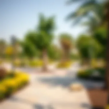 Green spaces and parks within Al Maktoum City