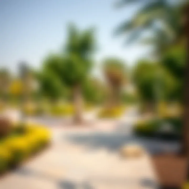 Green spaces and parks within Al Maktoum City