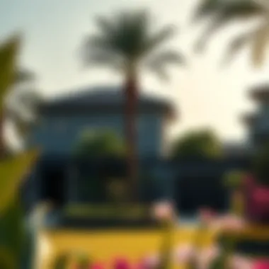 An In-Depth Examination of Faya Bloom Gardens Summary An In-Depth Examination of Faya Bloom Gardens Summary