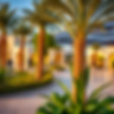 Vibrant Community Amenities Near BM Tower Community amenities surrounding BM Tower in Al Nahda