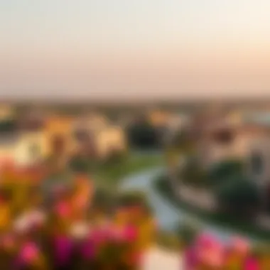 Scenic View of Al Khawaneej Scenic view of Al Khawaneej showcasing its unique architecture and greenery