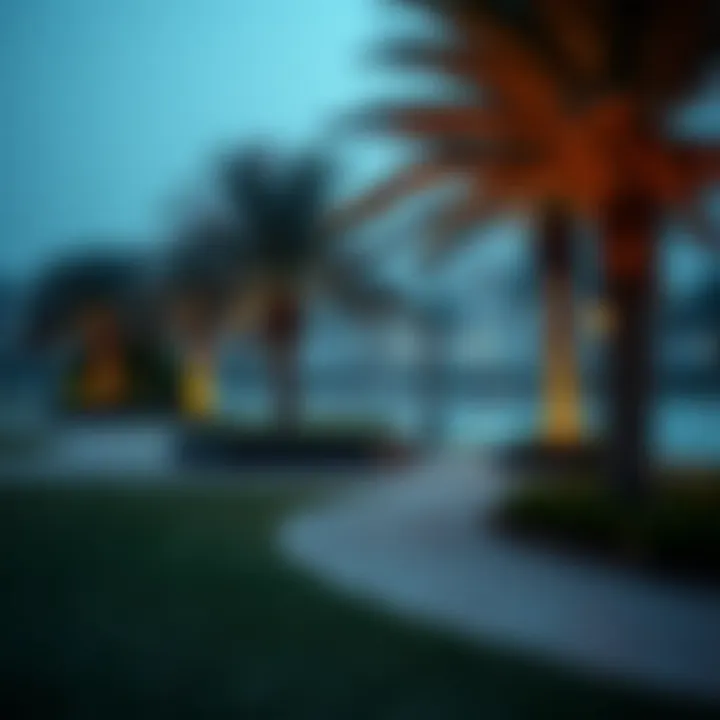 Tranquil Park Setting in المرابع العربية Tranquil park setting in المرابع العربية ideal for relaxation