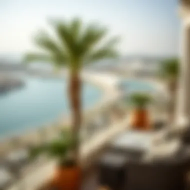 Breathtaking view of Palm Jumeirah from Al Safadi's terrace