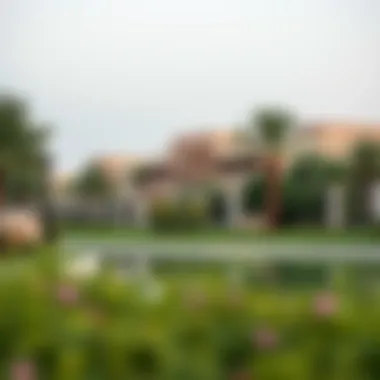 Recreational parks in Badr Al Khawaneej offering a glimpse of outdoor activities