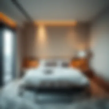 Exploring Bed Space in Skycourt Towers: Implications for Residents and Investors Summary Exploring Bed Space in Skycourt Towers: Implications for Residents and Investors Summary