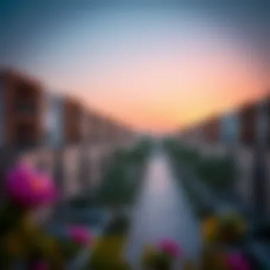 Residential Communities in Dubai An overview of a residential community in Dubai