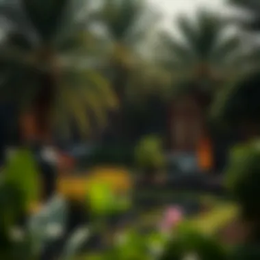 Lush greenery and landscape design in Dubai Garden