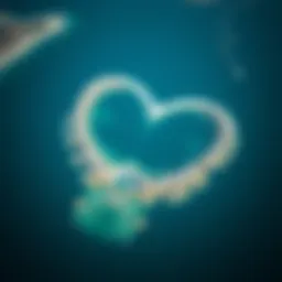 Aerial view of Jumeirah Palm showcasing its unique shape