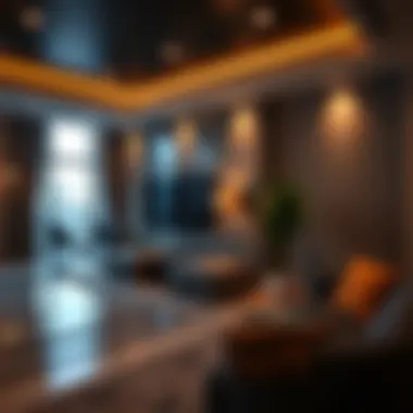 Amenities in One-Bedroom Apartments Amenities available in one-bedroom apartments in International City