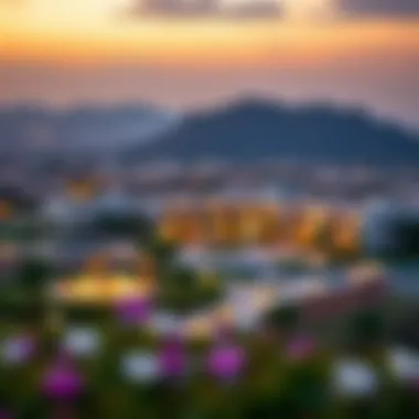 Exploring Reem Hills: A Comprehensive Guide to Dubai's Emerging Community Summary Exploring Reem Hills: A Comprehensive Guide to Dubai's Emerging Community Summary