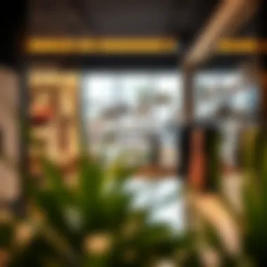 Modern Retail Display in Karama Interior of a modern shop highlighting retail display options