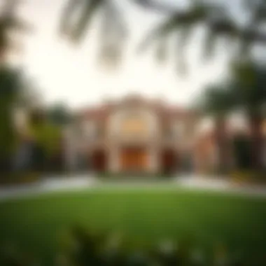 Luxurious Villas in Jebel Ali Luxurious villas and green spaces in Jebel Ali neighborhood