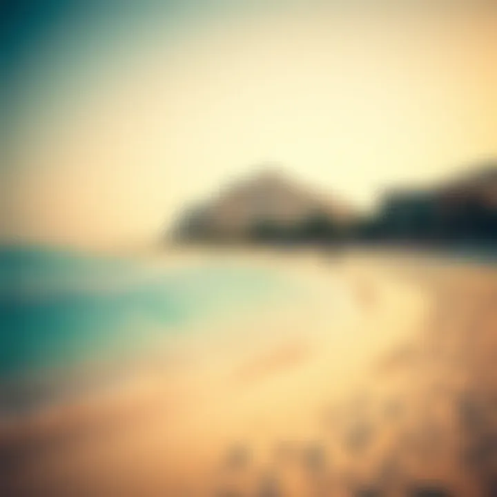 Pristine Shores of Dubai's Secluded Beach Crystal clear waters and soft golden sands of the beach