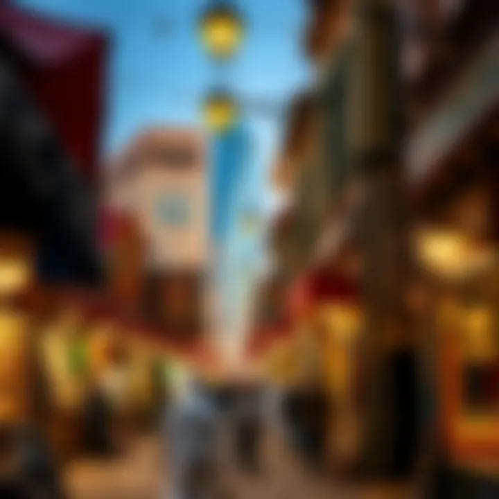 Cultural Diversity of Meena Bazaar A glimpse of the cultural diversity represented in Meena Bazaar