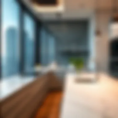 Modern kitchen in Burj Khalifa residential flat