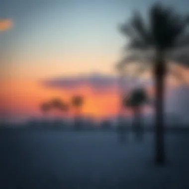 Sunset Over La Mer Beach Sunset over La Mer Beach highlighting the beauty of Dubai's coastline.