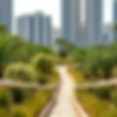 Notable Nad Al Sheba Mini Forest: A Green Haven Amidst Urban Landscape Notable Nad Al Sheba Mini Forest: A Green Haven Amidst Urban Landscape