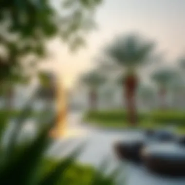 Nad Al Sheba Mini Forest: A Green Haven Amidst Urban Landscape Summary