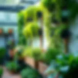 Vertical garden showcasing lush greenery