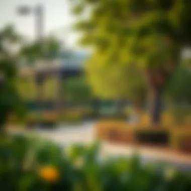 Notable Rashidiya Park: A Comprehensive Exploration of Dubaiās Green Oasis Notable Rashidiya Park: A Comprehensive Exploration of Dubaiās Green Oasis