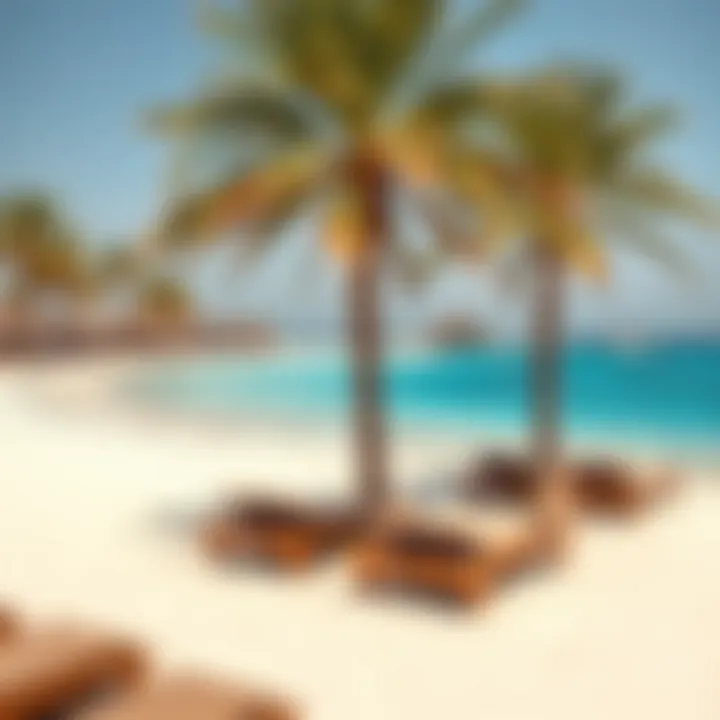 Serene Beach Escape at The Heart of Europe Serene beach area of The Heart of Europe with crystal blue waters and palm trees