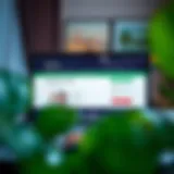 View of UAE visa application portal on a computer screen