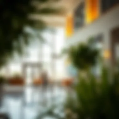 School and Education Fees in Dubai Dubai school and education fees