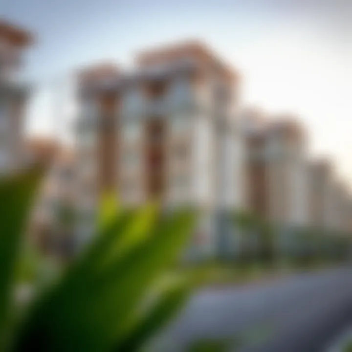 Residential buildings reflecting the community dynamics of Dubai International City