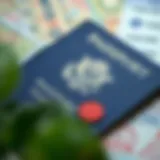 Understanding Your Passport's Visa Stamps A close-up of a passport with various visa stamps